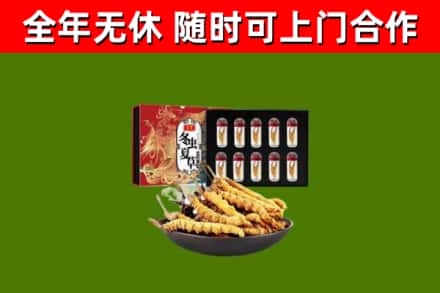 北碚烟酒回收冬虫夏草礼盒.jpg
